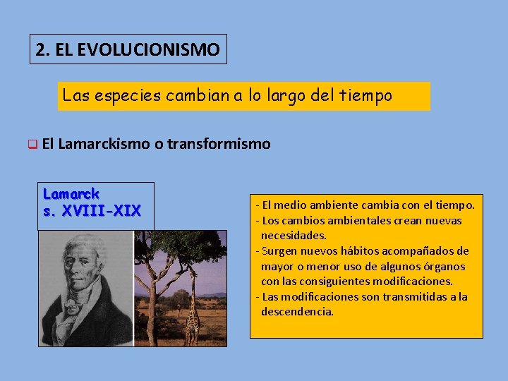 2. EL EVOLUCIONISMO Las especies cambian a lo largo del tiempo q El Lamarckismo