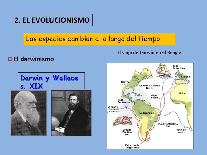 2. EL EVOLUCIONISMO Las especies cambian a lo largo del tiempo q El darwinismo