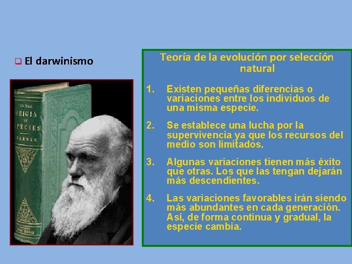 Teoría de la evolución por selección natural q El darwinismo 1. Existen pequeñas diferencias