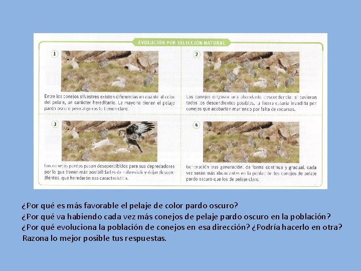 ¿Por qué es más favorable el pelaje de color pardo oscuro? ¿Por qué va