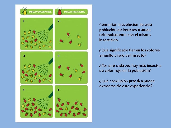 1 3 2 4 Comentar la evolución de esta población de insectos tratada reiteradamente