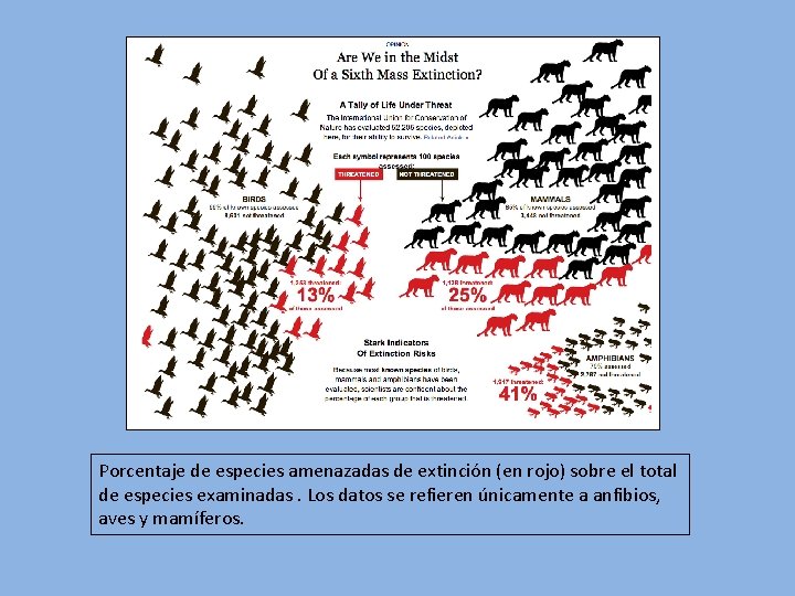 Porcentaje de especies amenazadas de extinción (en rojo) sobre el total de especies examinadas.