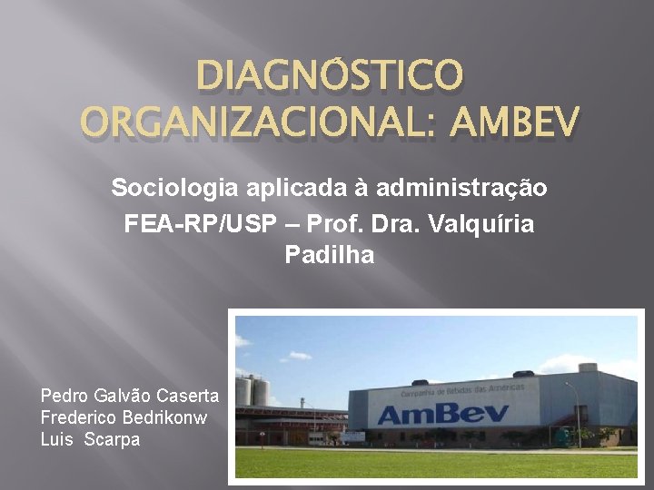 DIAGNÓSTICO ORGANIZACIONAL: AMBEV Sociologia aplicada à administração FEA-RP/USP – Prof. Dra. Valquíria Padilha Pedro