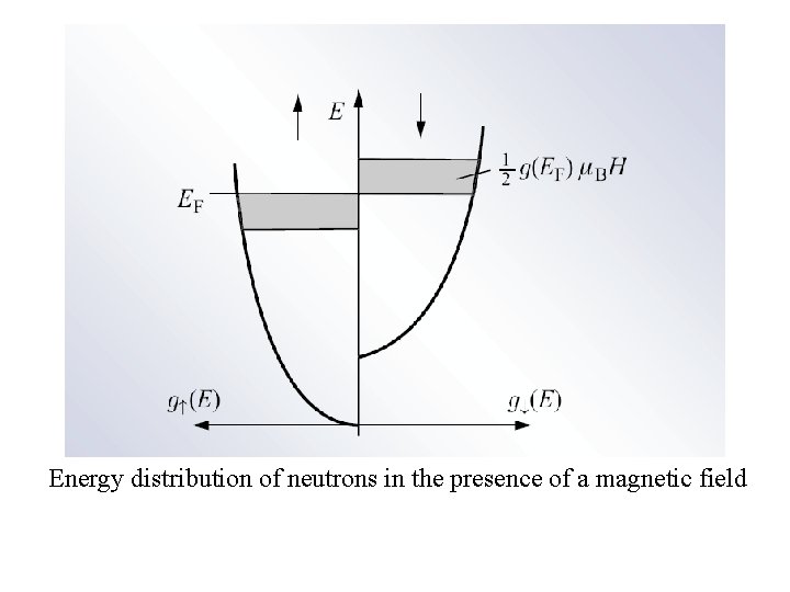 Energy distribution of neutrons in the presence of a magnetic field 
