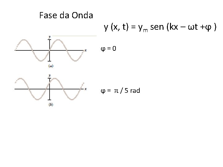 Fase da Onda y (x, t) = ym sen (kx – ωt +ϕ )