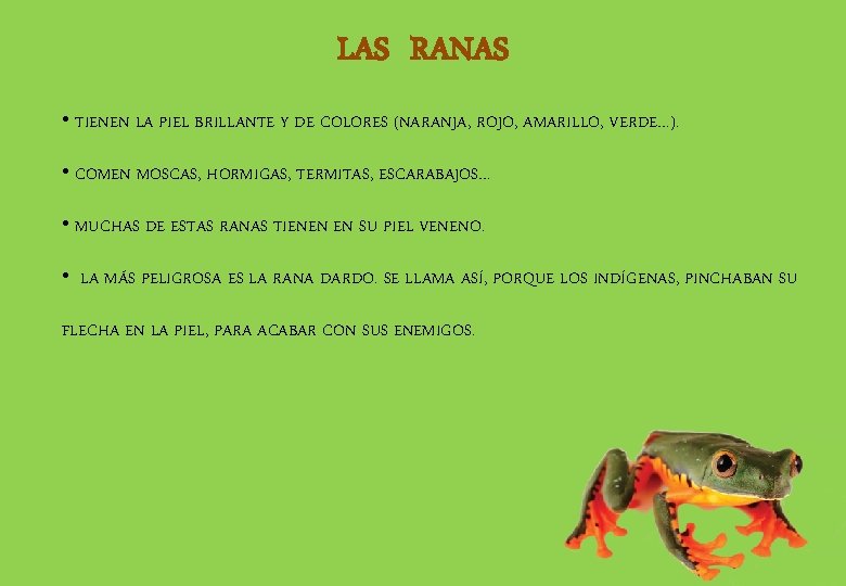 LAS RANAS • TIENEN LA PIEL BRILLANTE Y DE COLORES (NARANJA, ROJO, AMARILLO, VERDE…).