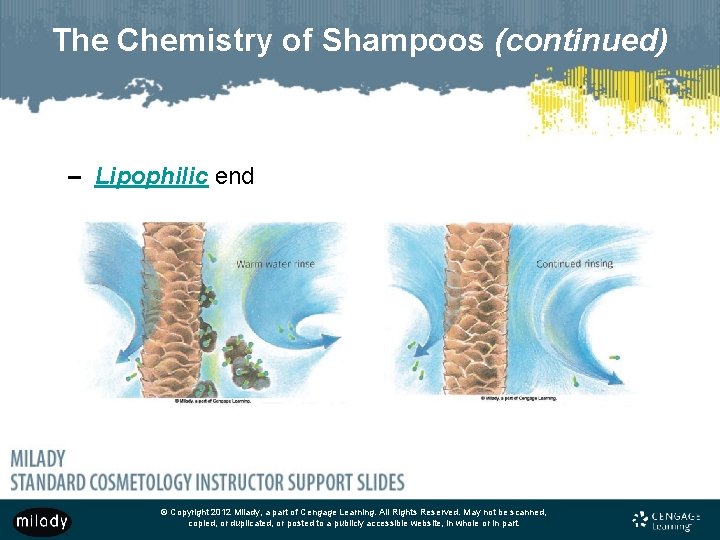 The Chemistry of Shampoos (continued) – Lipophilic end © Copyright 2012 Milady, a part