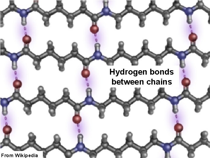 Hydrogen bonds between chains From Wikipedia 