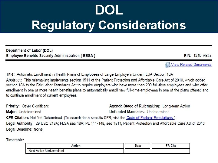 DOL Regulatory Considerations 