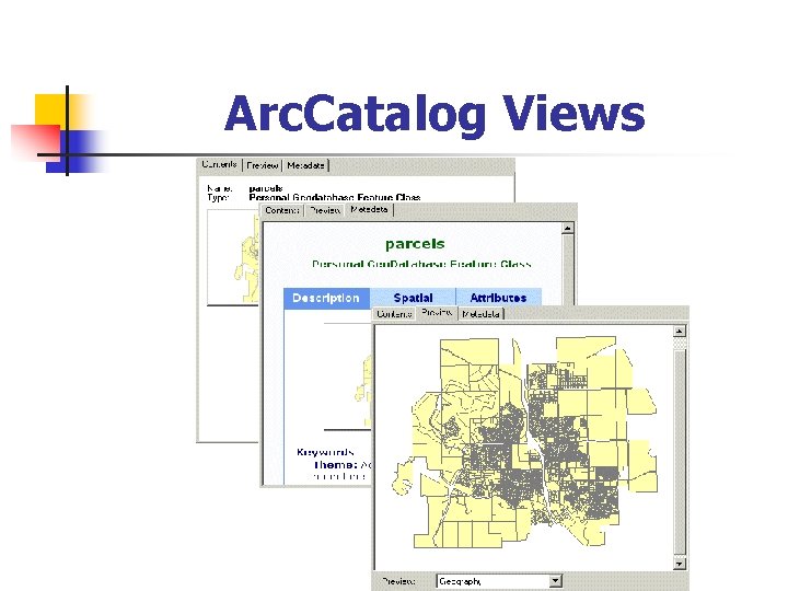 Arc. Catalog Views 
