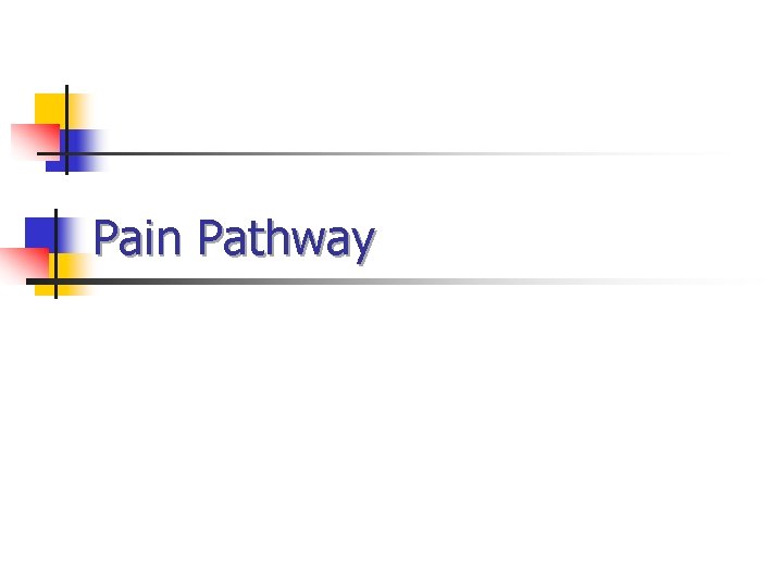 Pain Pathway Pain Pathway