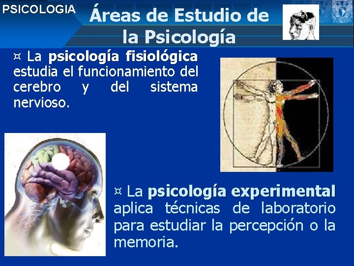 FILOSOFIA PSICOLOGIA CUARTOS MEDIOS Liceo Nuevo Amanecer TIPOS FILOSOFIA Áreas de. DE Estudio de
