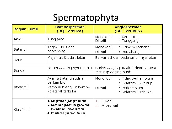 Spermatophyta Bagian Tumb Gymnospermae (Biji Terbuka) Angiospermae (Biji Tertutup) Akar Tunggang Monokotil Dikotil :