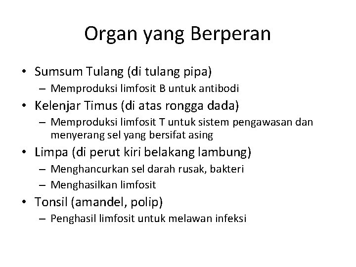 Organ yang Berperan • Sumsum Tulang (di tulang pipa) – Memproduksi limfosit B untuk