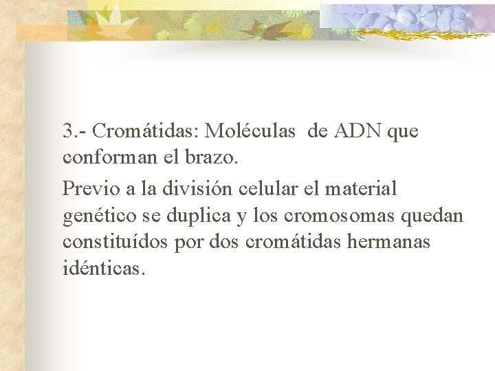 3. - Cromátidas: Moléculas de ADN que conforman el brazo. Previo a la división