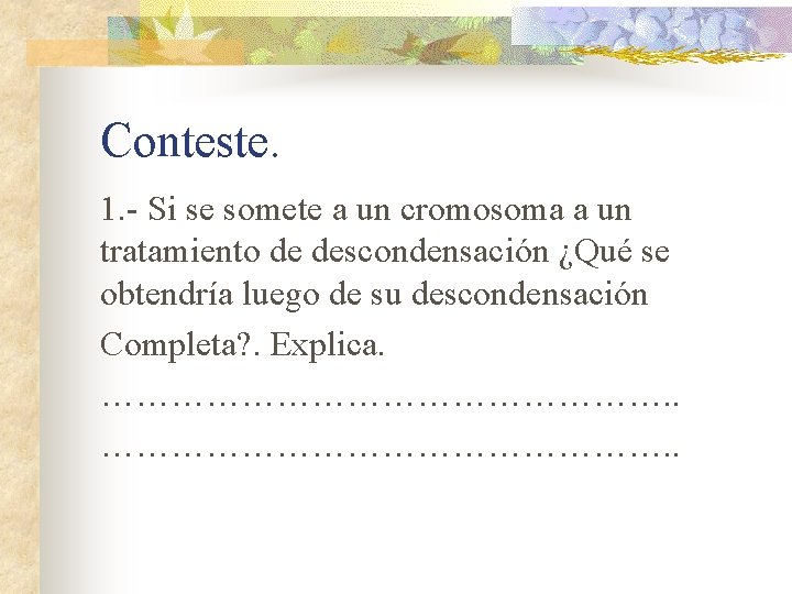 Conteste. 1. - Si se somete a un cromosoma a un tratamiento de descondensación