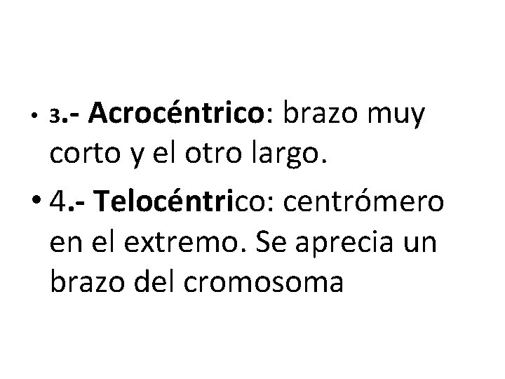 • 3. - Acrocéntrico: brazo muy corto y el otro largo. • 4. • 3. - Acrocéntrico: brazo muy corto y el otro largo. • 4.