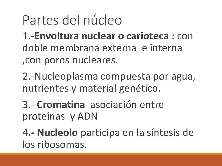 Partes del núcleo 1. -Envoltura nuclear o carioteca : con doble membrana externa e