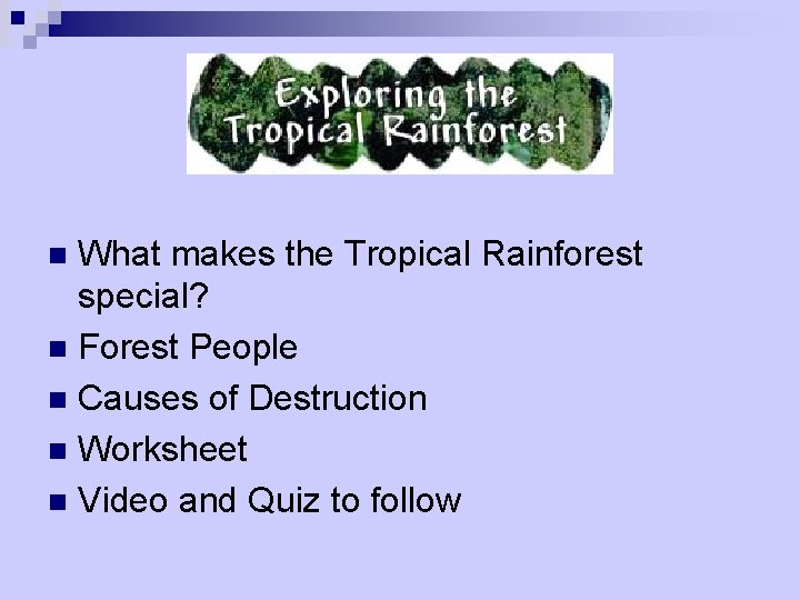 What makes the Tropical Rainforest special? n Forest People n Causes of Destruction n