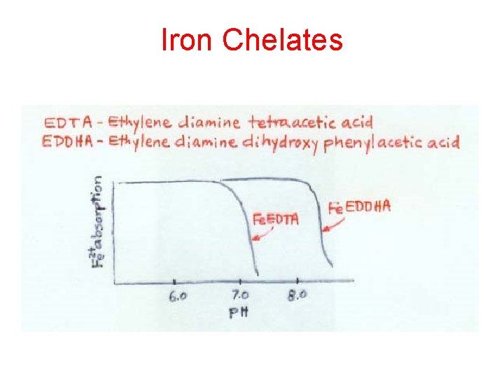 Iron Chelates 