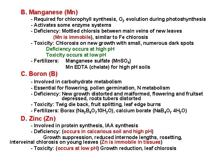 B. Manganese (Mn) - Required for chlorophyll synthesis, O 2 evolution during photoshynthesis -