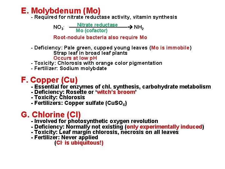 E. Molybdenum (Mo) - Required for nitrate reductase activity, vitamin synthesis Nitrate reductase NO