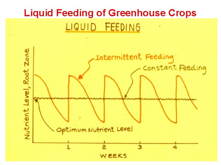 Liquid Feeding of Greenhouse Crops 