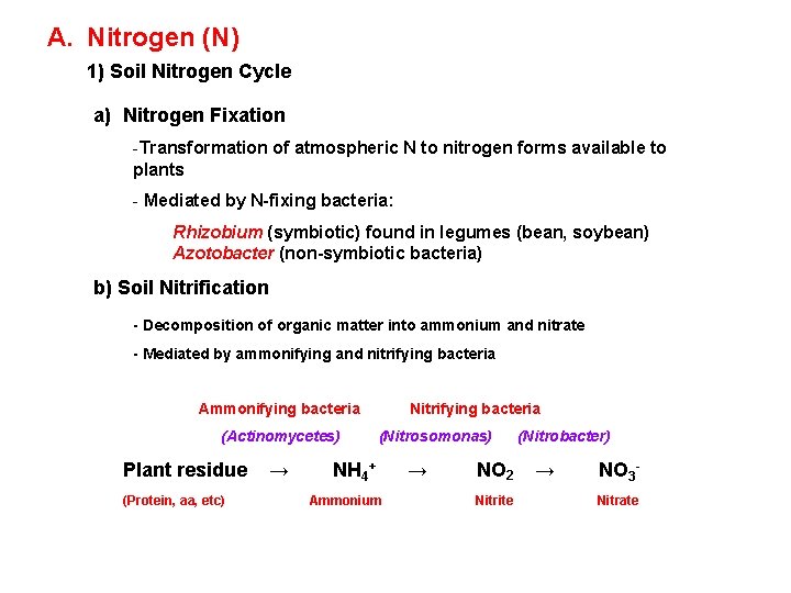 A. Nitrogen (N) 1) Soil Nitrogen Cycle a) Nitrogen Fixation -Transformation of atmospheric N