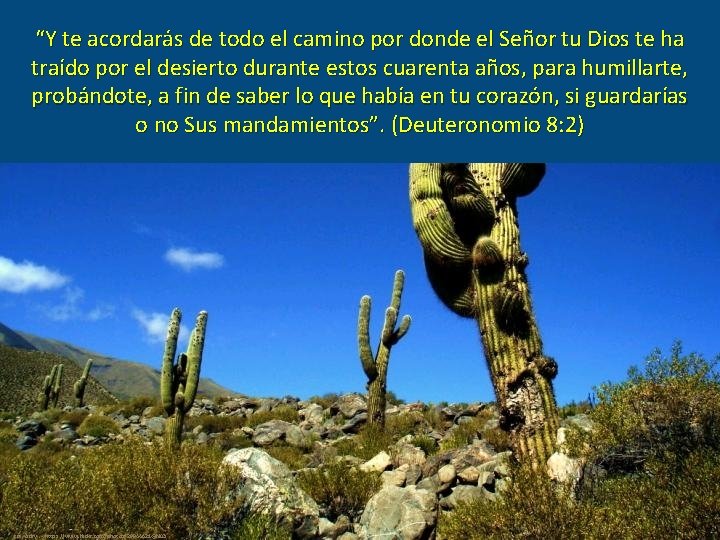 “Y te acordarás de todo el camino por donde el Señor tu Dios te