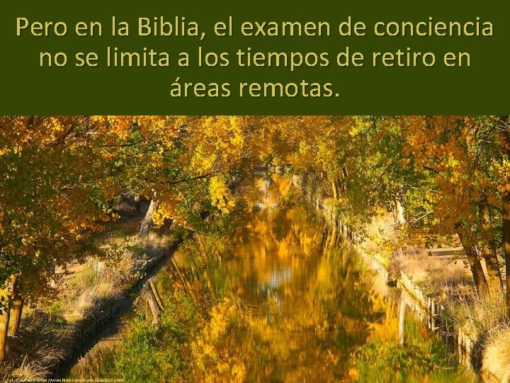 Pero en la Biblia, el examen de conciencia no se limita a los tiempos