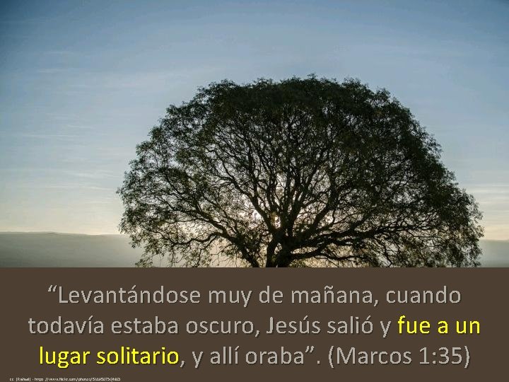 “Levantándose muy de mañana, cuando todavía estaba oscuro, Jesús salió y fue a un