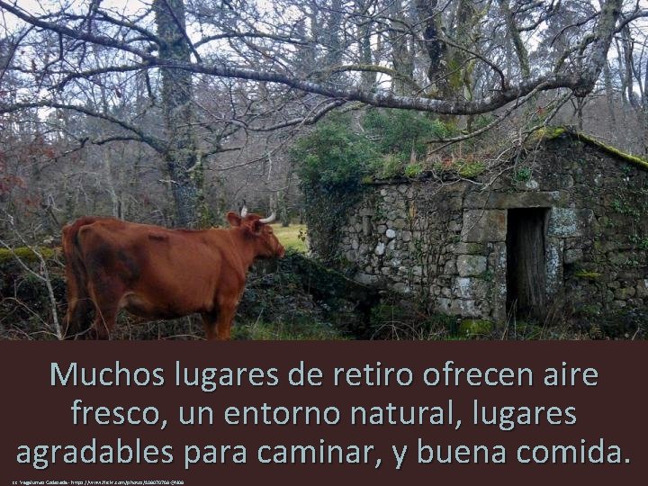 Muchos lugares de retiro ofrecen aire fresco, un entorno natural, lugares agradables para caminar,