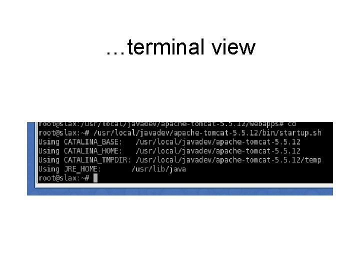 …terminal view 
