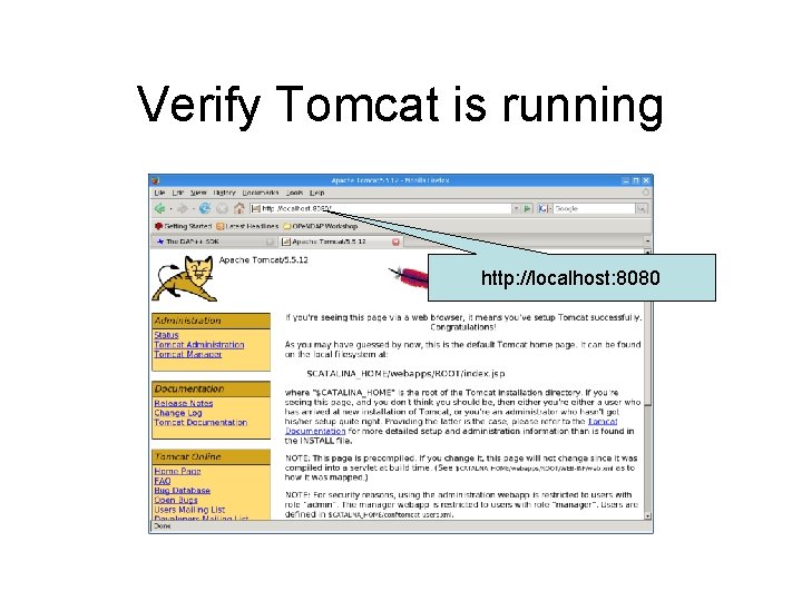 Verify Tomcat is running http: //localhost: 8080 