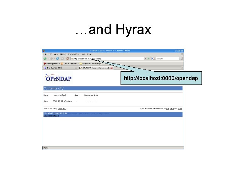 …and Hyrax http: //localhost: 8080/opendap 