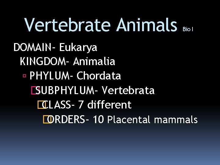 Vertebrate Animals Bio I DOMAIN- Eukarya KINGDOM- Animalia PHYLUM- Chordata � SUBPHYLUM- Vertebrata �