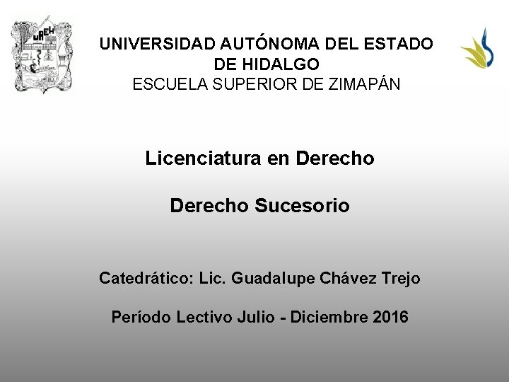 UNIVERSIDAD AUTÓNOMA DEL ESTADO DE HIDALGO ESCUELA SUPERIOR DE ZIMAPÁN Licenciatura en Derecho Sucesorio
