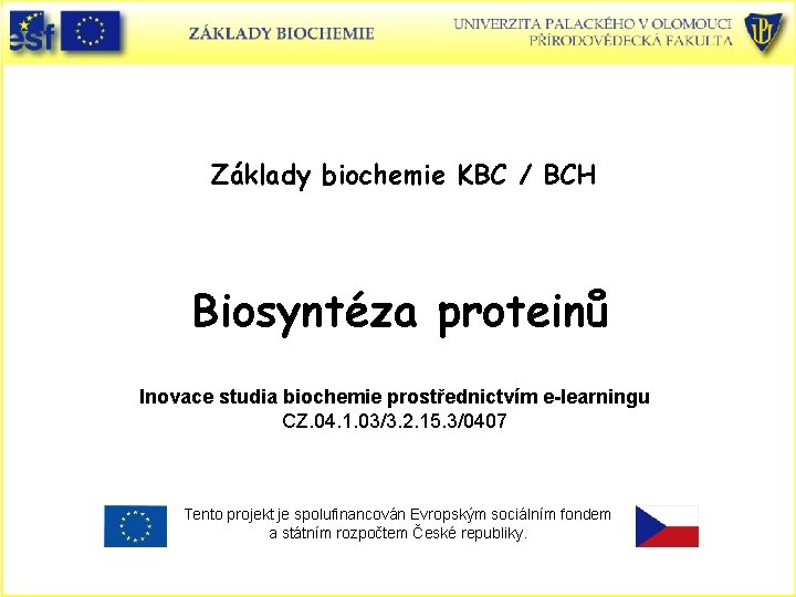 Základy biochemie KBC / BCH Biosyntéza proteinů Inovace studia biochemie prostřednictvím e-learningu CZ. 04.