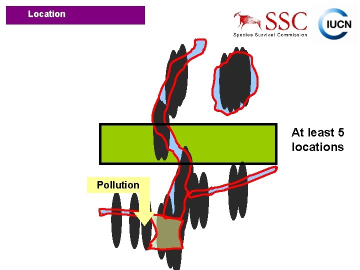 Location At least 5 locations Pollution IUCN (International Union for Conservation of Nature) 