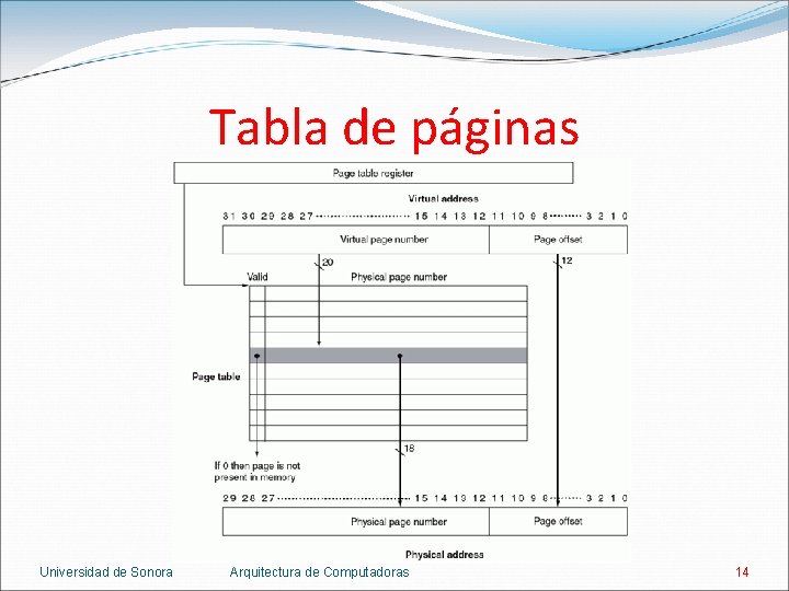 Tabla de páginas Universidad de Sonora Arquitectura de Computadoras 14 