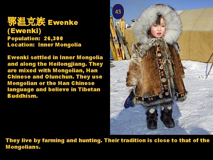 43 鄂温克族 Ewenke (Ewenki) Population: 26, 300 Location: Inner Mongolia Ewenki settled in Inner