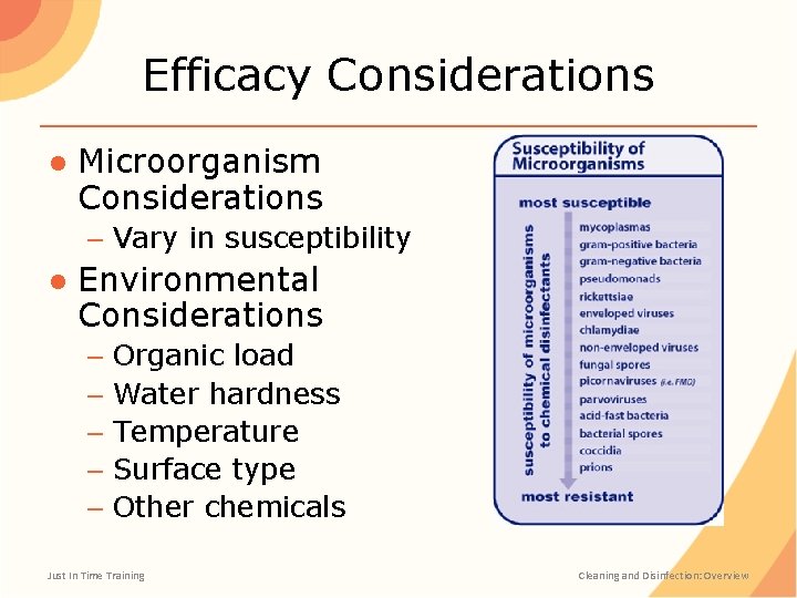 Efficacy Considerations ● Microorganism Considerations – Vary in susceptibility ● Environmental Considerations – Organic