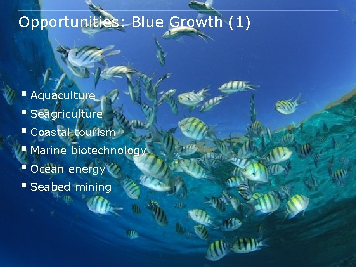 Opportunities: Blue Growth (1) § Aquaculture § Seagriculture § Coastal tourism § Marine biotechnology