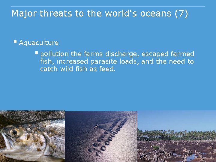 Major threats to the world's oceans (7) § Aquaculture § pollution the farms discharge,