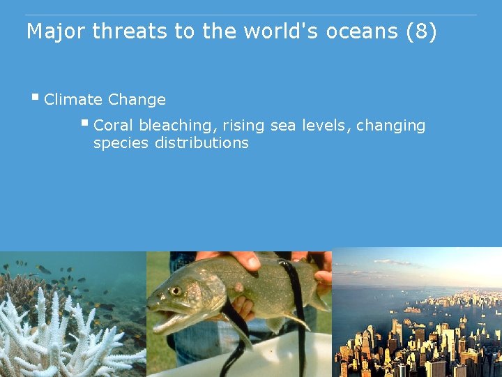 Major threats to the world's oceans (8) § Climate Change § Coral bleaching, rising