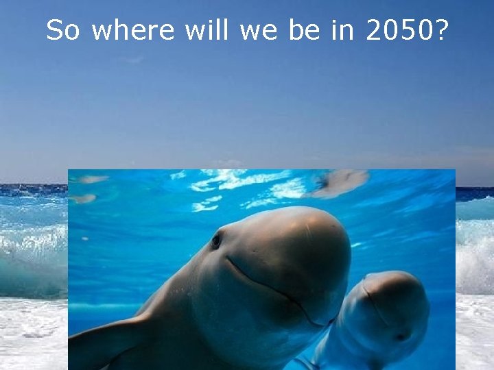 So where will we be in 2050? 