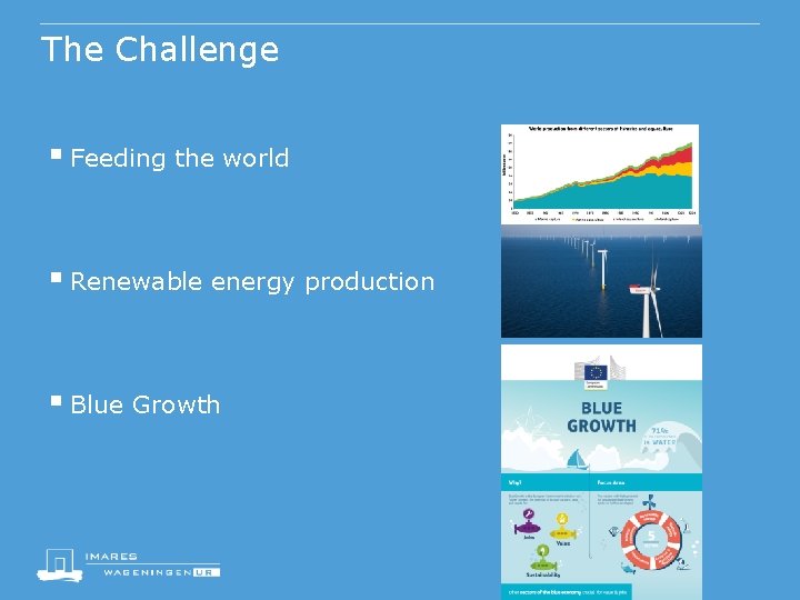The Challenge § Feeding the world § Renewable energy production § Blue Growth 