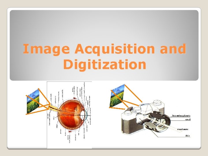 Image Acquisition and Digitization 
