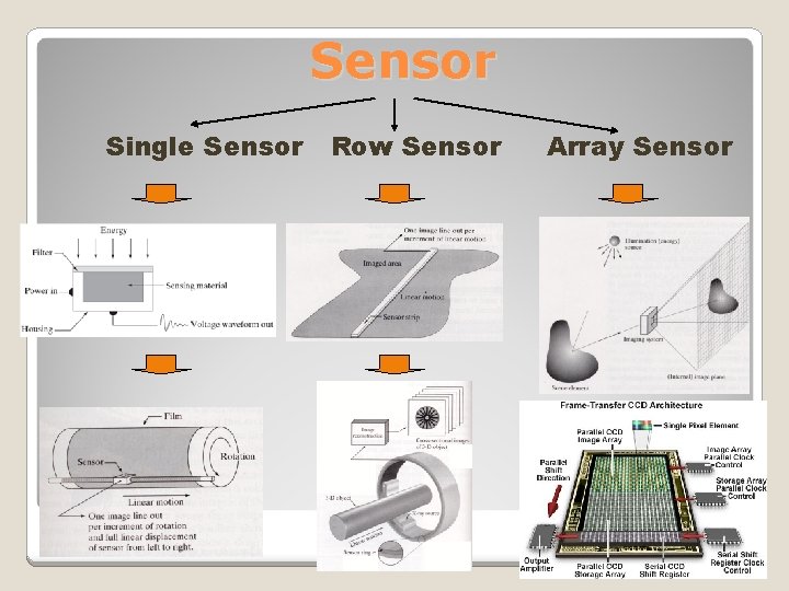 Sensor Single Sensor Row Sensor Array Sensor 