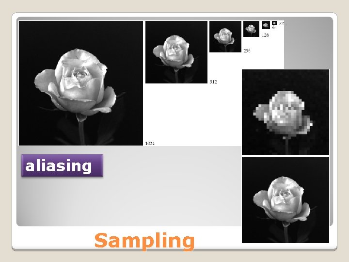 aliasing Sampling 